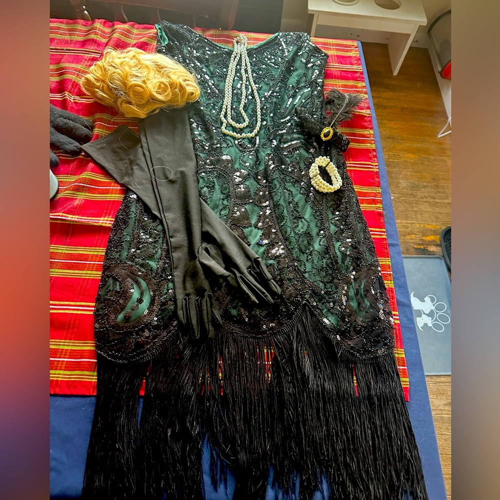 Beautiful beaded Flapper dress, gloves, featherhead piece jewelry & blonde wig.